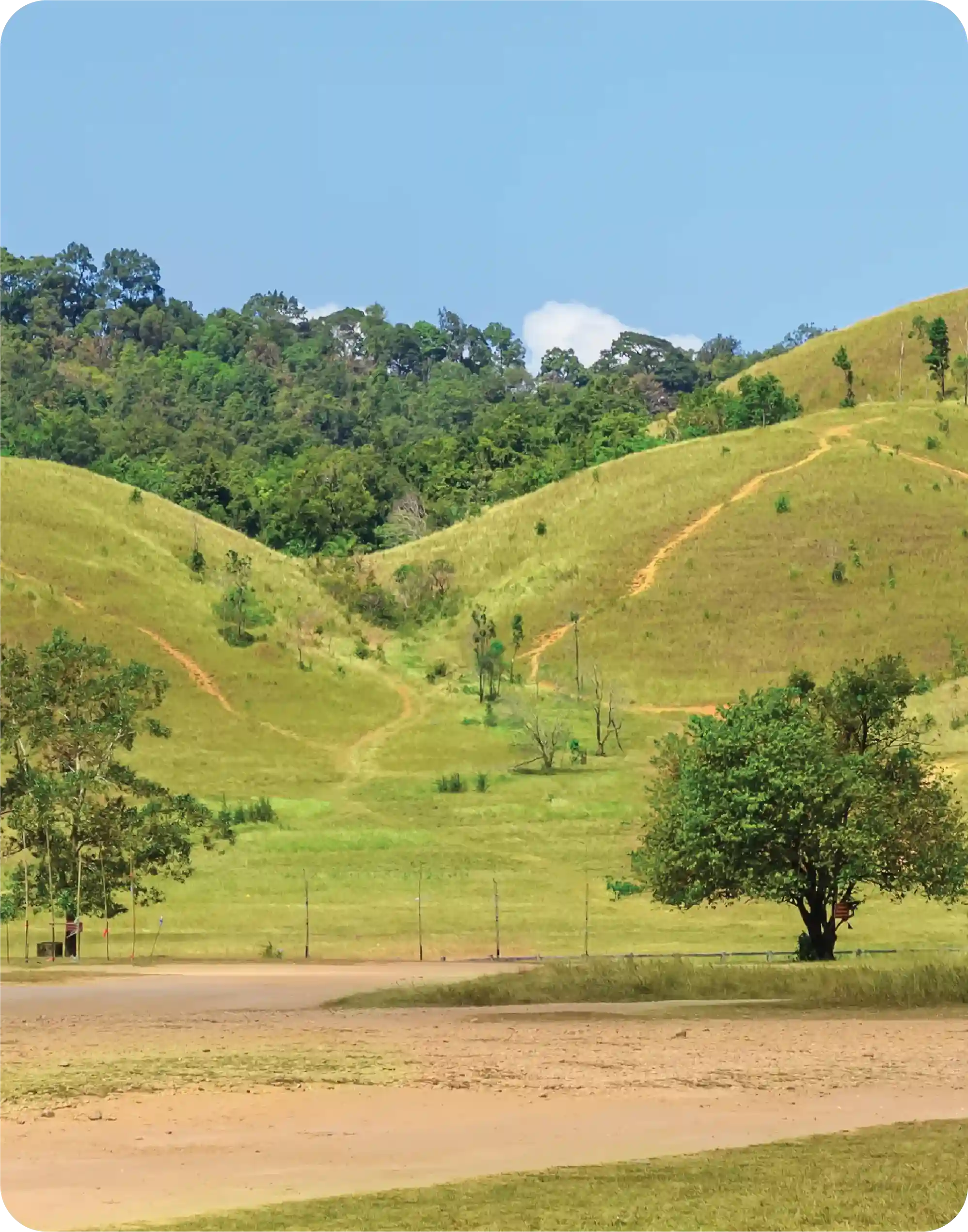 Hills landscape